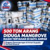 Setelah Penebangan Mangrove Dilarang, Mengapa Arang Masih Beredar?