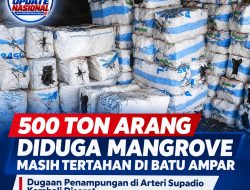 Setelah Penebangan Mangrove Dilarang, Mengapa Arang Masih Beredar?